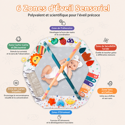 tapis-d-eveil-bebe-6-zones-d-eveil 
